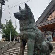 生まれ故郷のハチ公像 （忠犬ハチ公像 大館駅前）