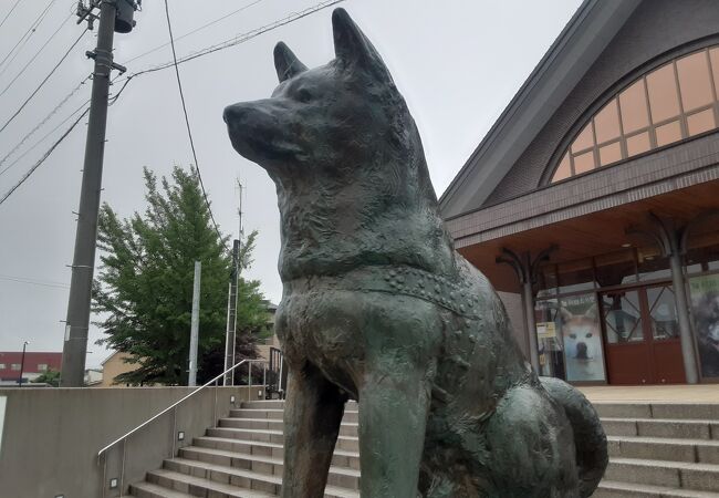 銅像 秋田犬 忠犬ハチ公？ 五反田の秋田犬像 – 株式会社グッドクロス