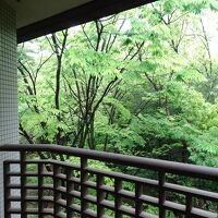 外は木々に覆われていて眺めはありません
