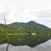 湿原の遊歩道がけっこう充実。