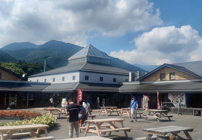 塩原温泉への入り口にある道の駅です