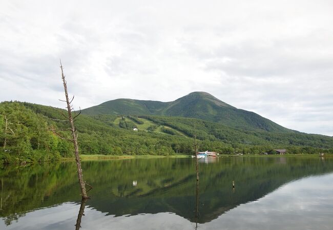 湿原の遊歩道がけっこう充実。