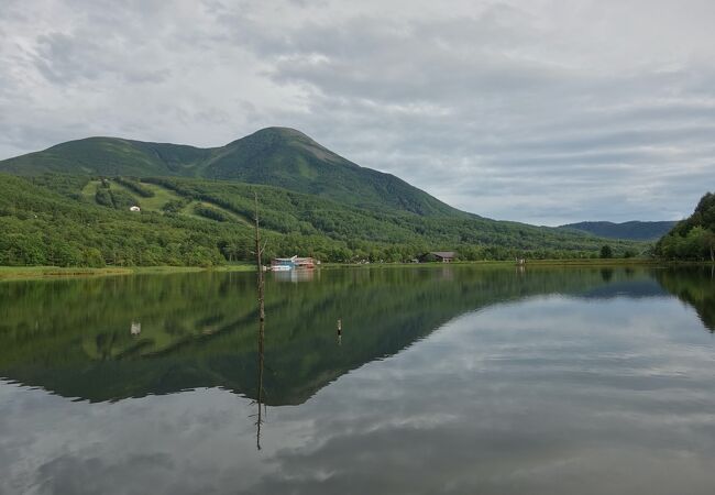 八ヶ岳連峰のはしっこ。なだらかな姿。