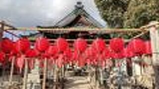 ちょうちんがいっぱい