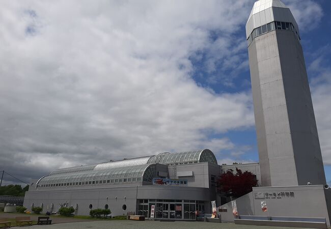 標津サーモン科学館