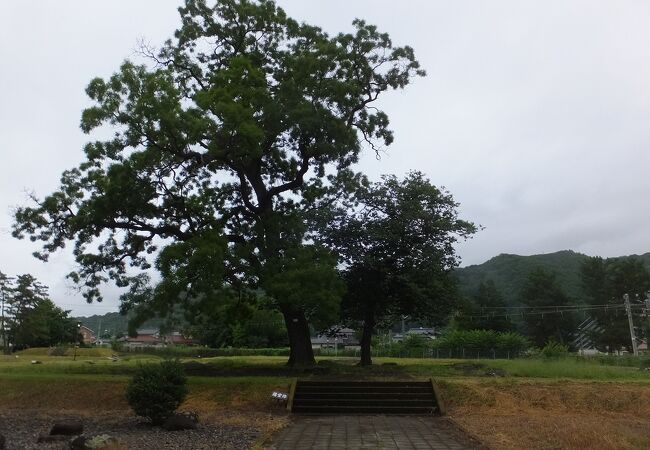 国分寺史跡公園