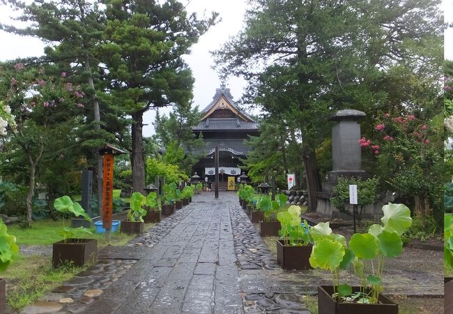 信濃国分寺