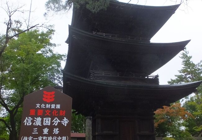 信濃国分寺三重塔