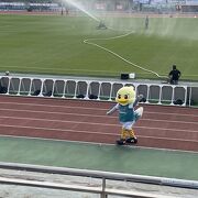 サッカー観戦！