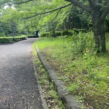 平塚市総合公園