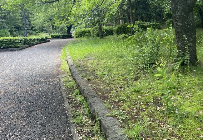 広い公園！！