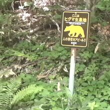 一番目を惹くヒグマ生息地の看板！おぉ怖い…