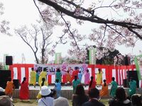 竜王山公園さくらまつり