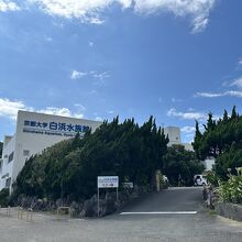 水族館の建物