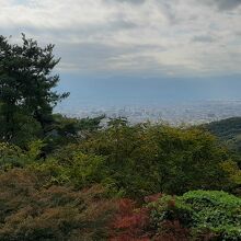 和田峠みはらし広場