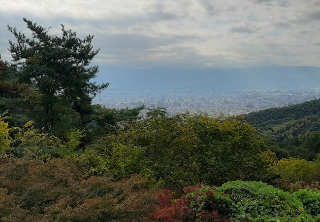 和田峠みはらし広場