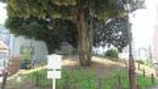 小山が休憩所になっていました