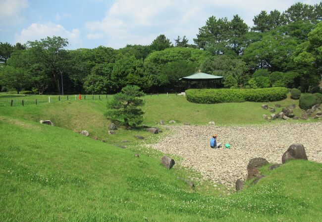 南池で作業をしていました