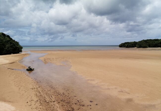 砂地の干潟