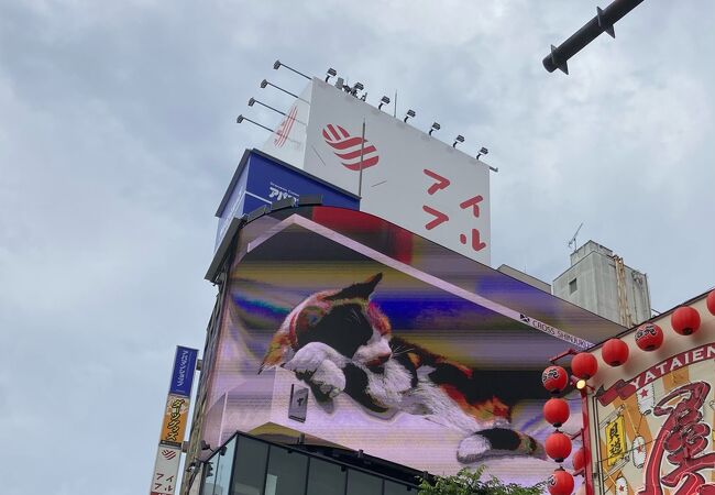 クロス新宿ビジョン 3D巨大猫