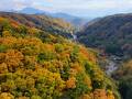 八ヶ岳高原大橋