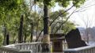 日蓮上人がここで足を洗ったから