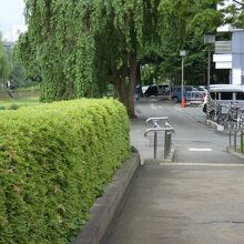 中津川沿い遊歩道