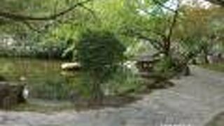 公園の中にはいくつかの池があります。