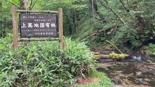 大正池から田代池、河童橋経由で明神池