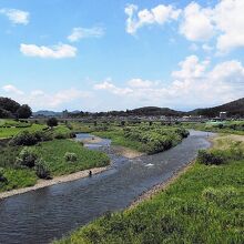 綺麗な渡良瀬川