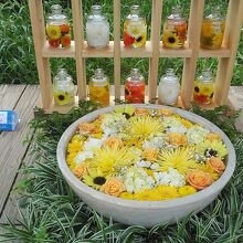 元気がでるビタミンカラー