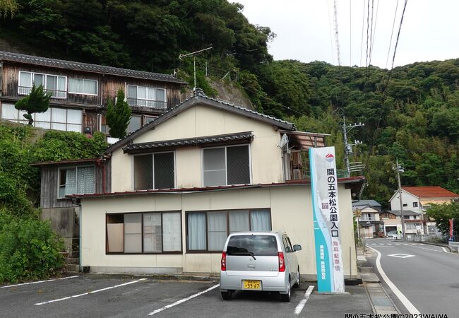 新緑と鮮やかなツツジ「いい写真が撮れそう」 松江・美保関の