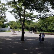 豊島園跡の公園でした。