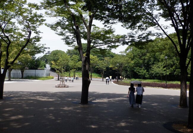 豊島園跡の公園でした。