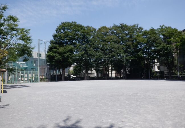 谷戸運動公園