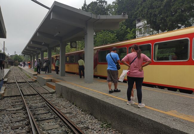 阿里山鉄道で