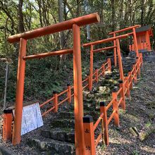 ３基だけでも「千本鳥居」のようです