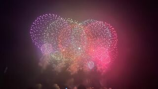 長岡の夜空を包む色彩豊かな花火たち