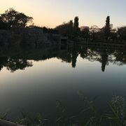 夕方の池