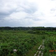 オムサロ遺跡公園に行った後に、すぐ近くにあるオムサロ原生花園に来てみました。