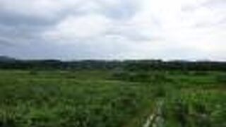 オムサロ原生花園