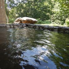 猿倉温泉とは一味違う洗練された露天風呂