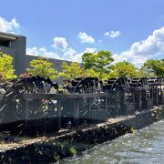 水が涼し気です。