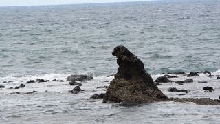 見つけるのに苦労するほど小さな岩ですが確かにゴジラに似ています