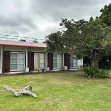 お庭の緑が素敵