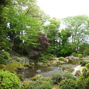 900坪の広さを持つ 池泉鑑賞式庭園