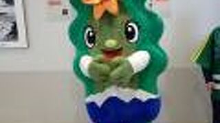 夏場（6/1～9/30）の昼間の礼文島との1便のみ