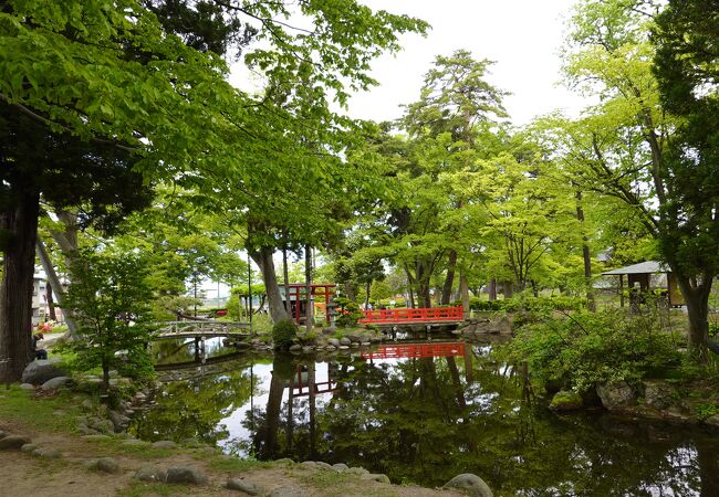 池を取り囲む色濃い緑が素晴らしい