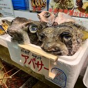 沖縄の食材が見て楽しい