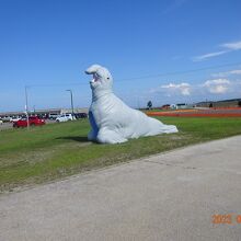 紋別市海洋公園